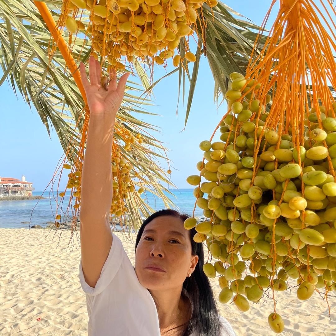 非洲杨姐