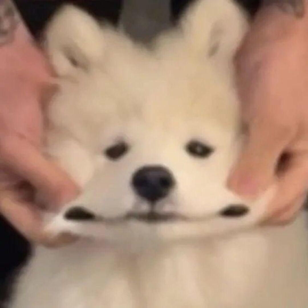 爻天