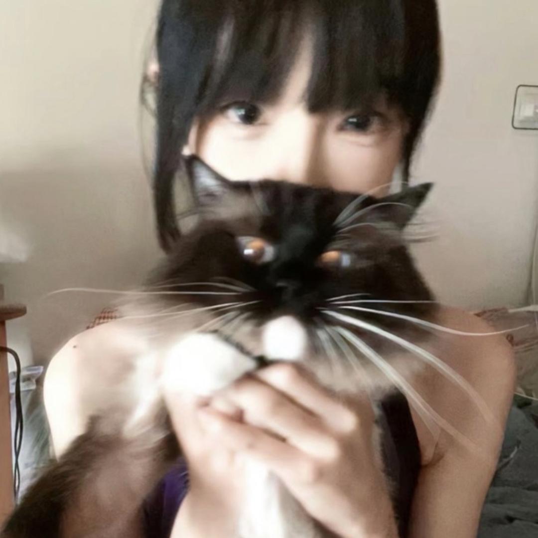 困困猫
