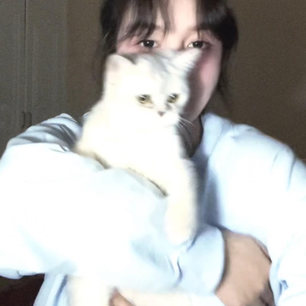 倒霉窝窝馕