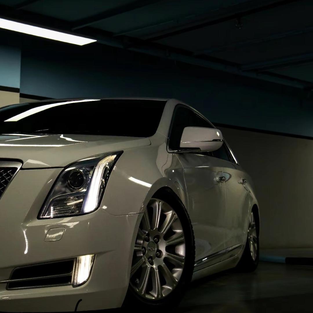 拥有幸福的猪。