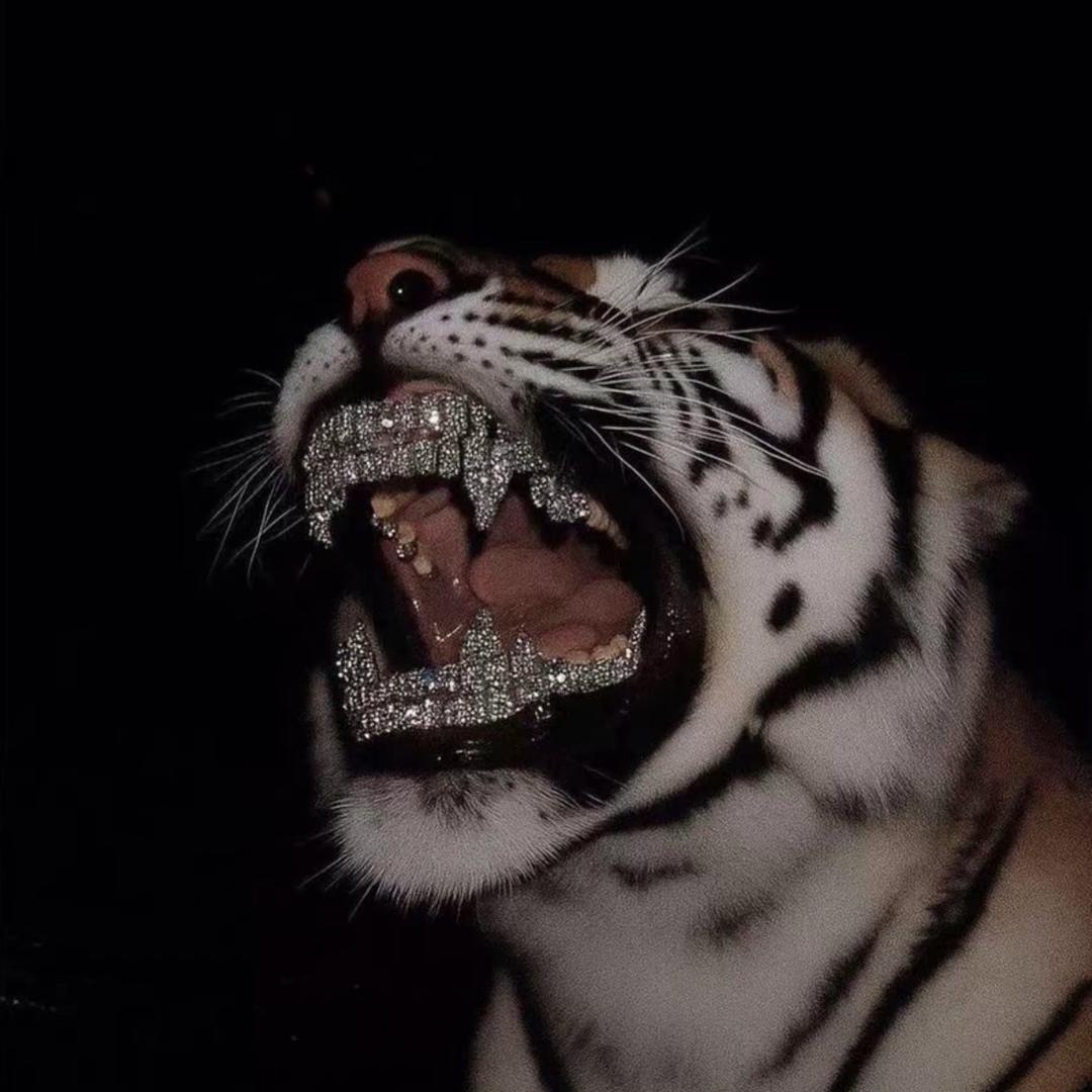 ㅤㅤㅤㅤㅤㅤㅤㅤㅤㅤ  ㅤ