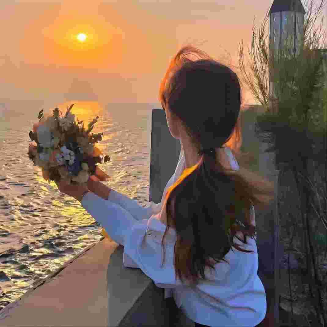 朝颜