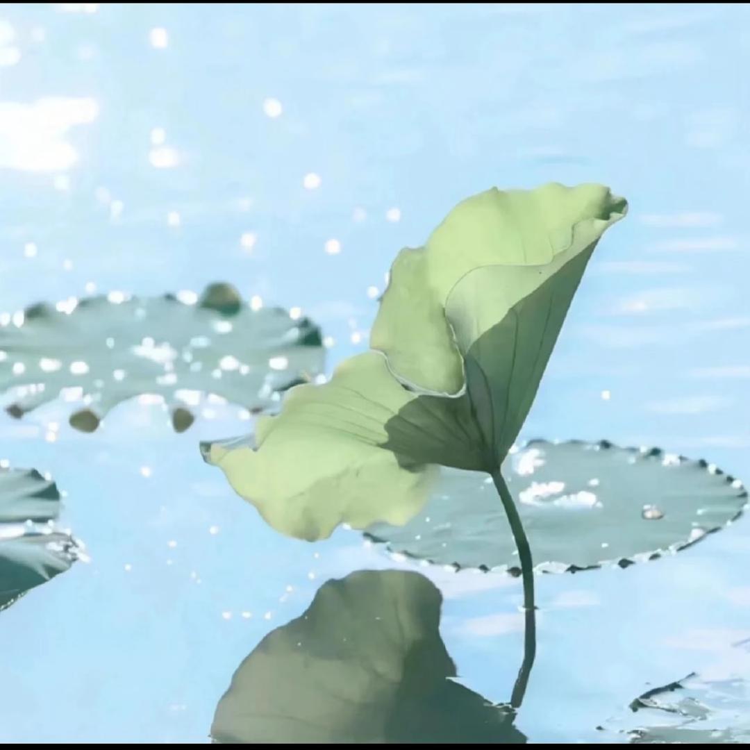 砚山陈小玉杂货优品店