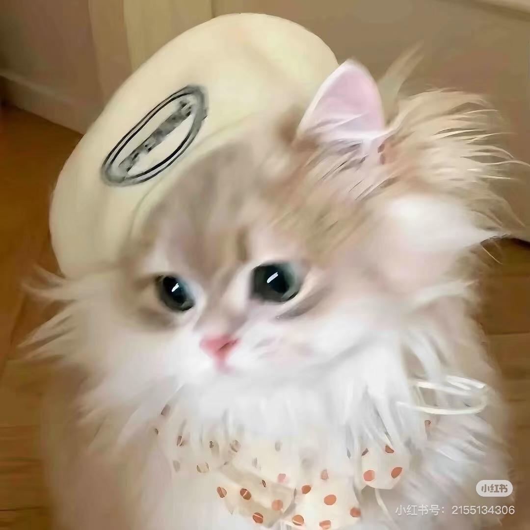 一只鸭腿