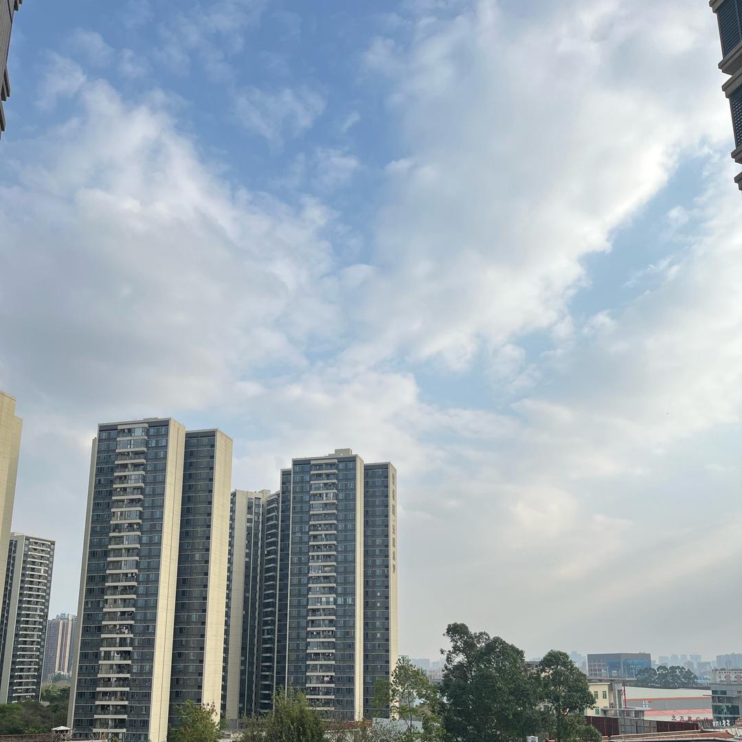 西南微
