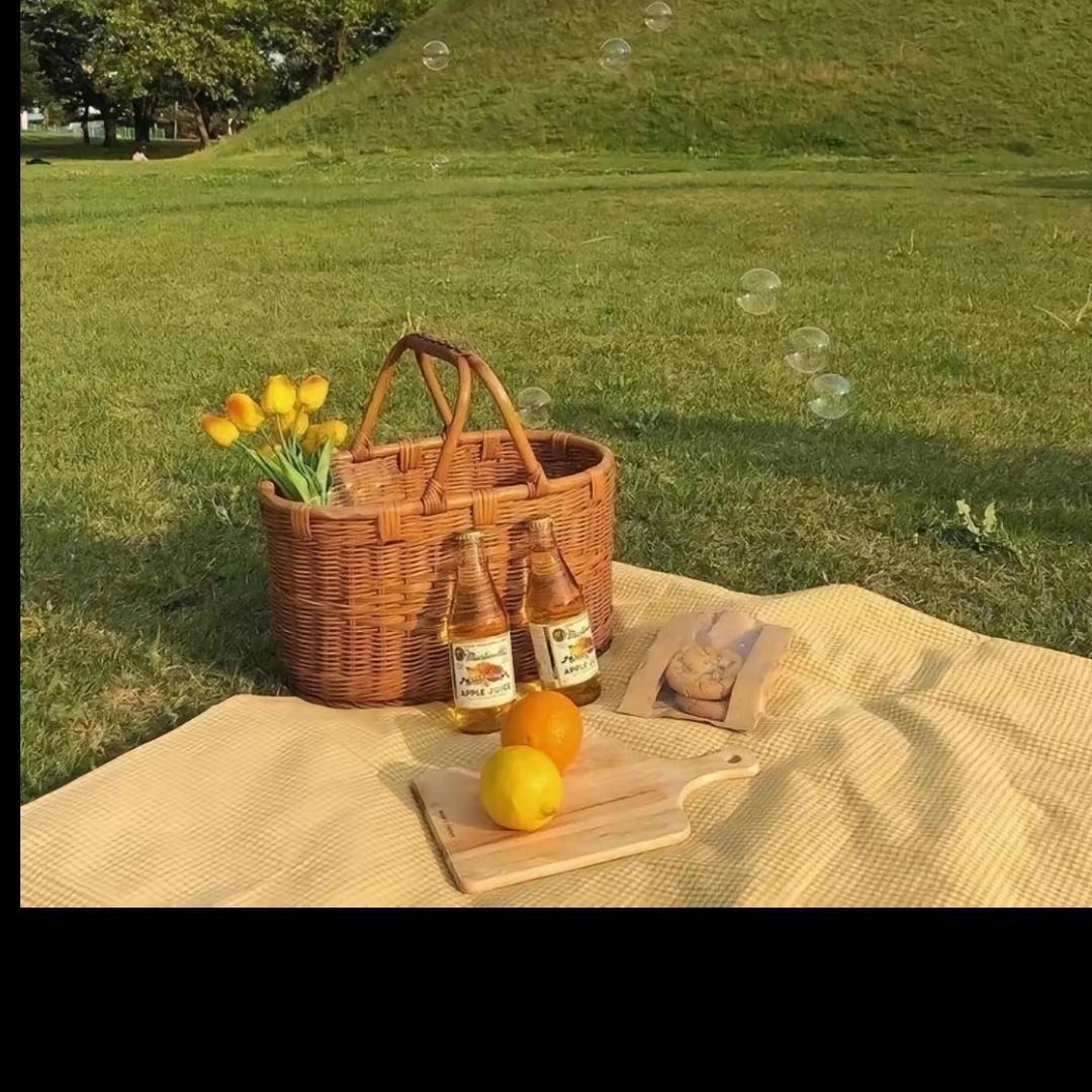 竹子体重管理