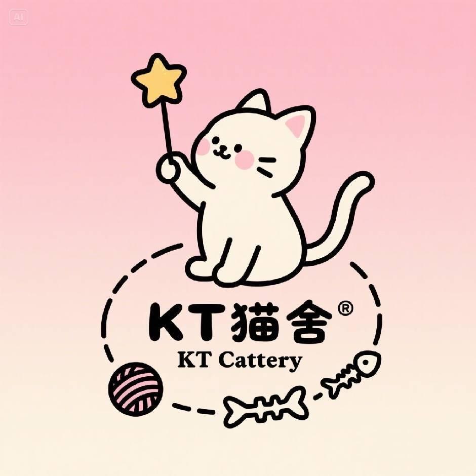天津KT猫舍