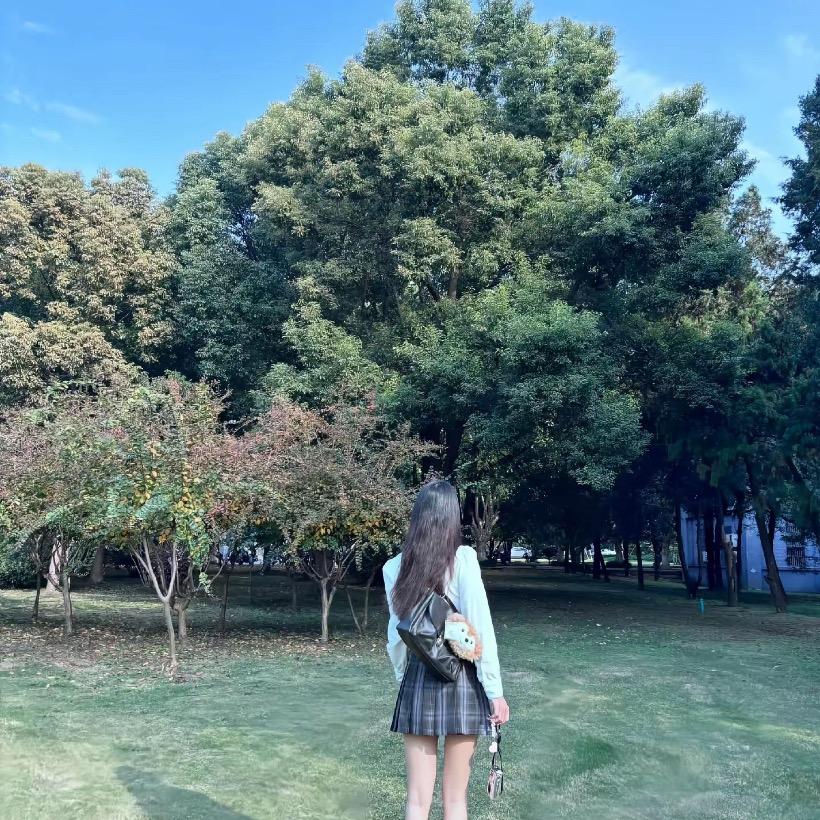 见山是海微影娜碧