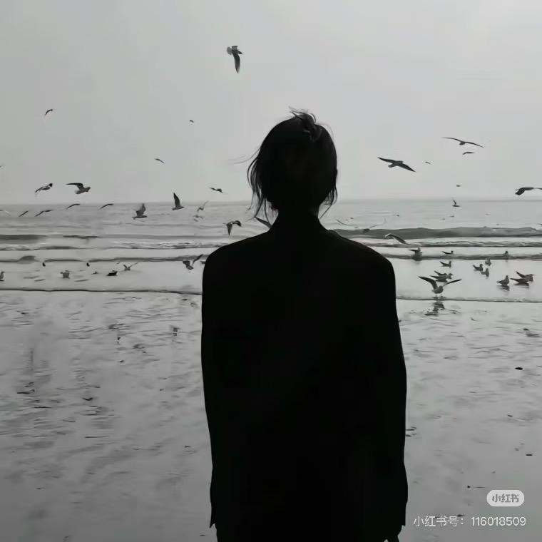 十一💫