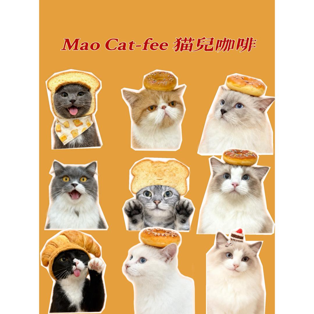 MaoCatfee喵儿咖啡官方号