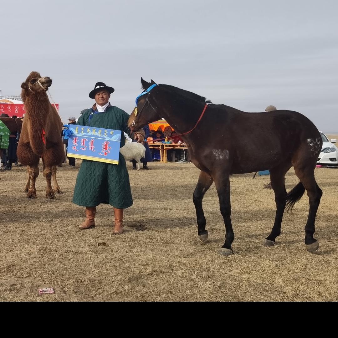 Бүрэнбаяр布仁巴雅尔