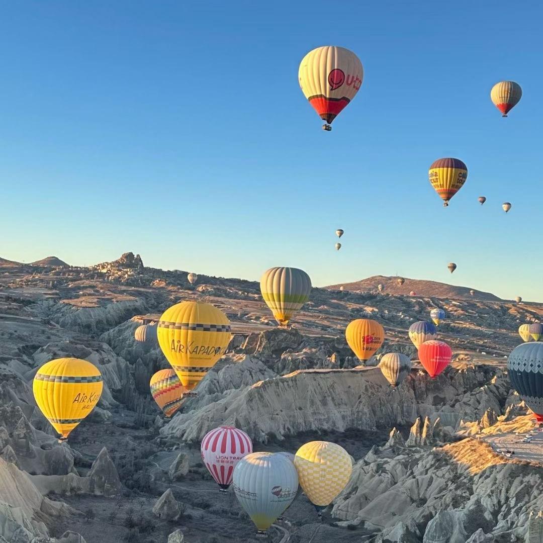 老马家的  四掌柜