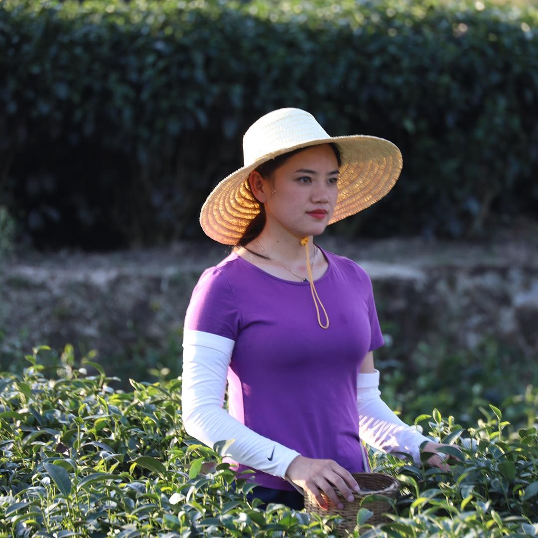 李丹（咸丰奶白茶厂家）