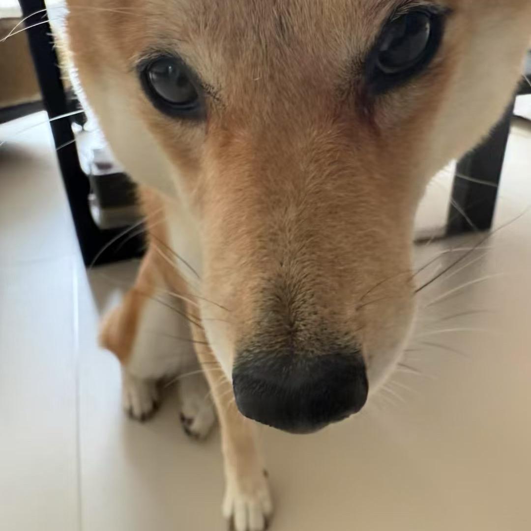 别看我
