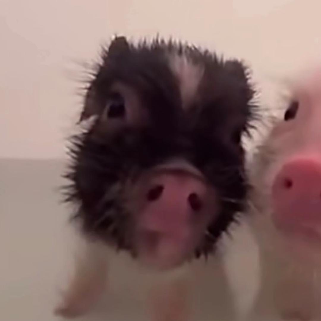 反手自闭症患者