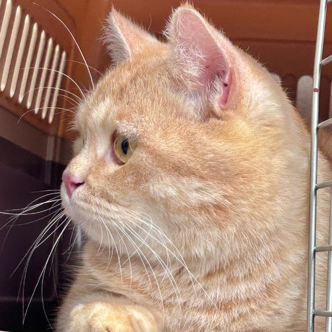 万宁万城硒梢百货店（个体工商户）