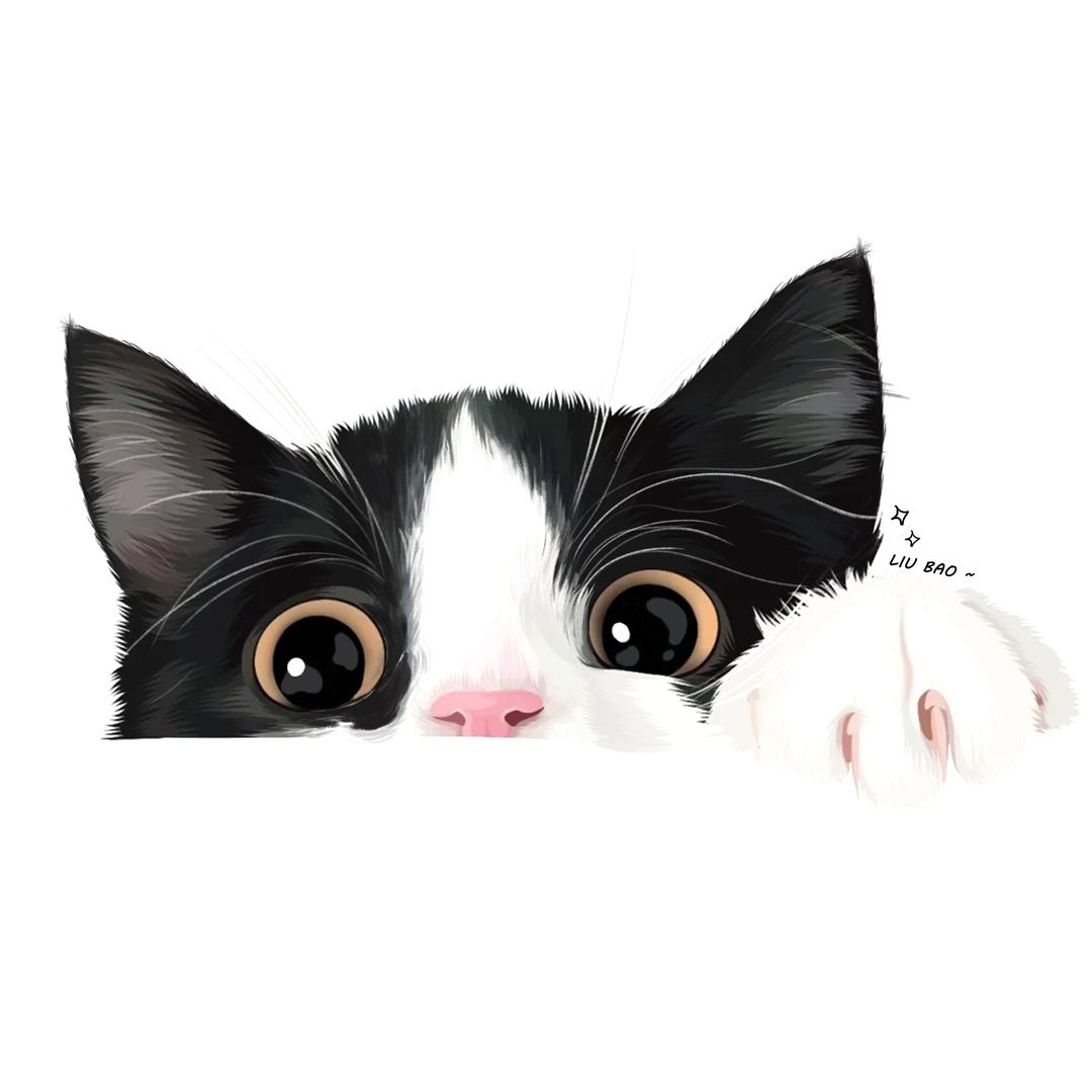 二猫之一～小宝