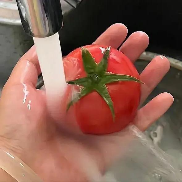请吃小番茄