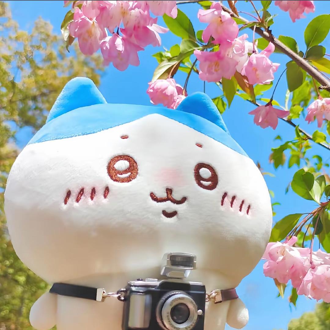 小八亲妈