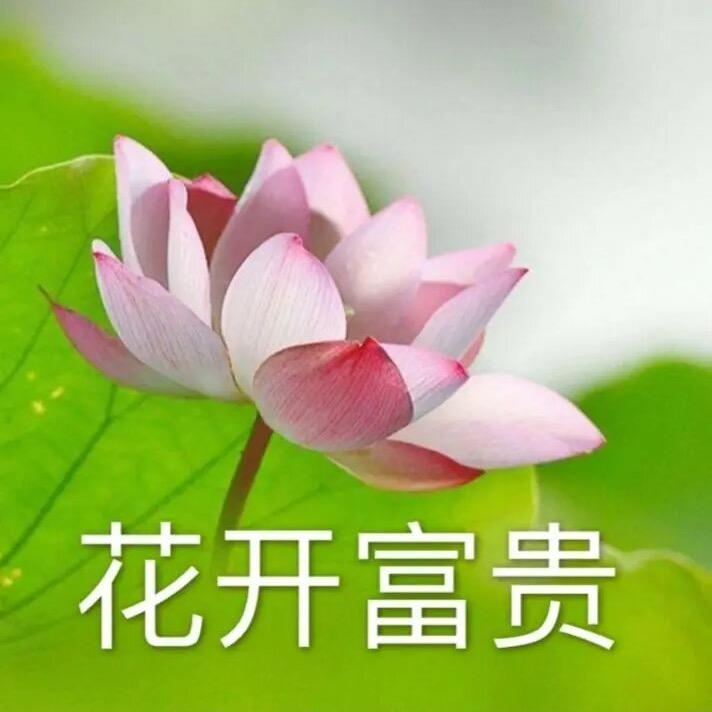 吃了吗吃饱了头像