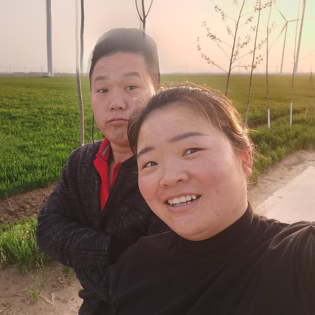 豪情大杰716