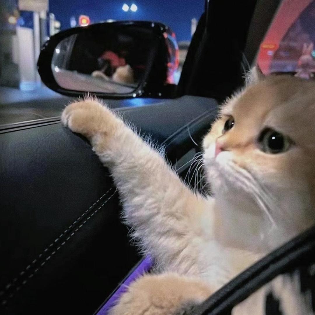 唐贤贵
