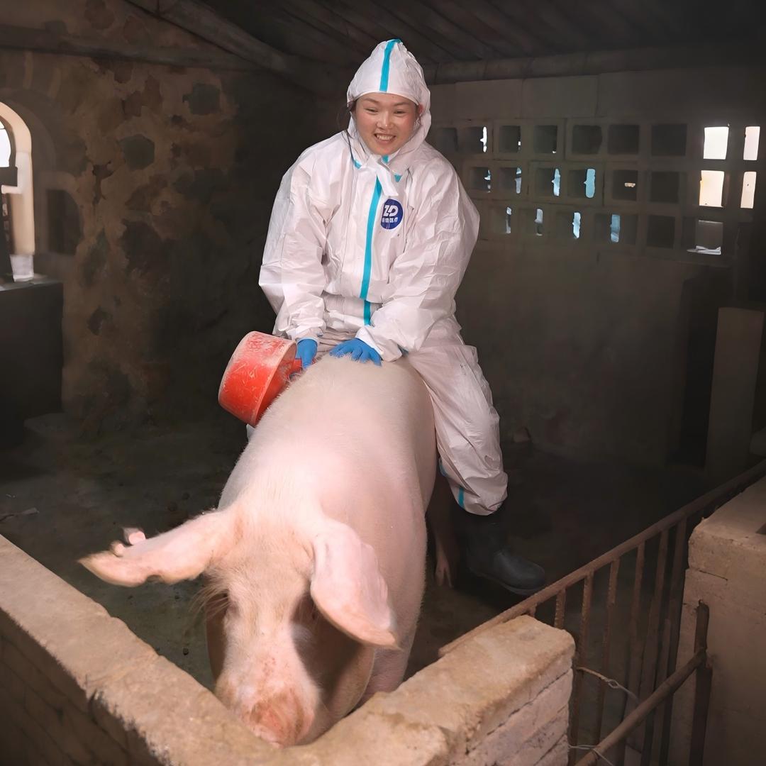 陈姐（养猪婆娘）