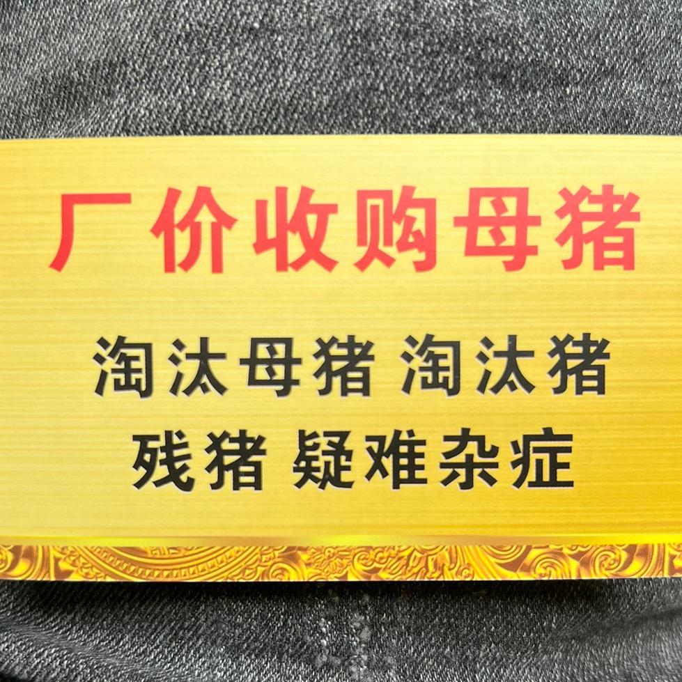 专业收猪小何（收购各类淘汰中猪、母猪）