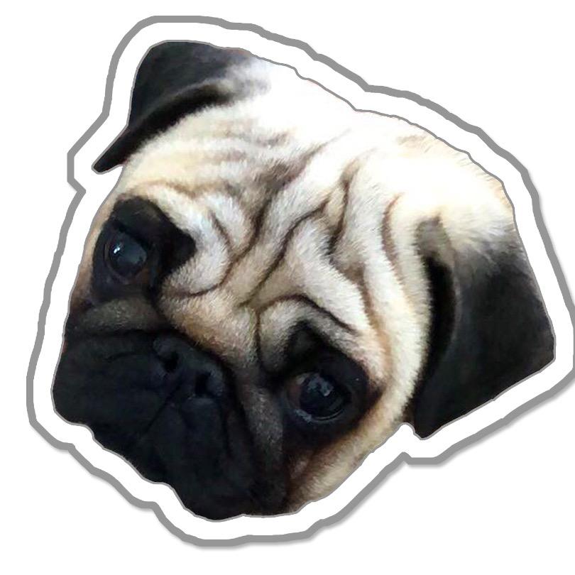 獭兔小虎