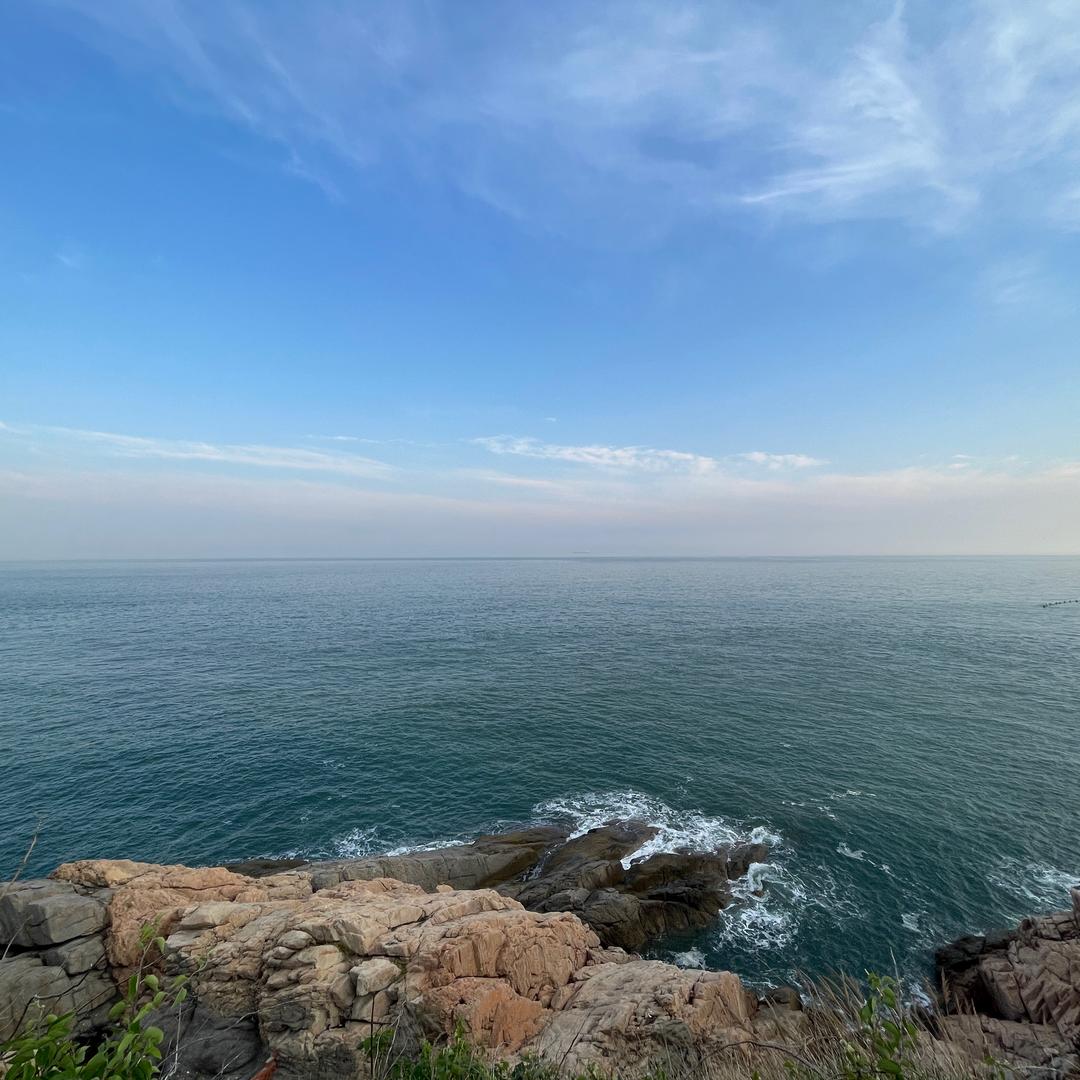 花开富贵正红时