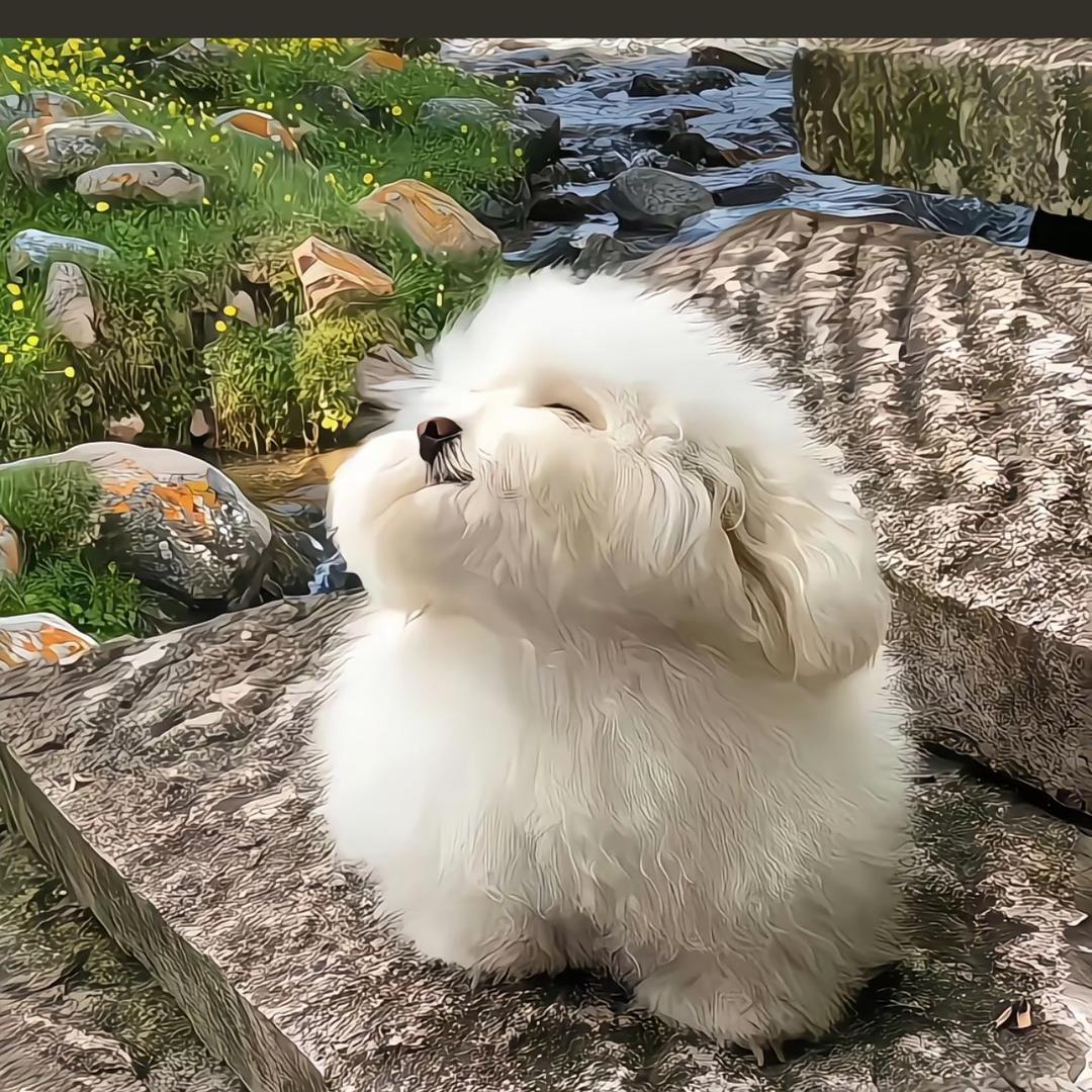娜好吧