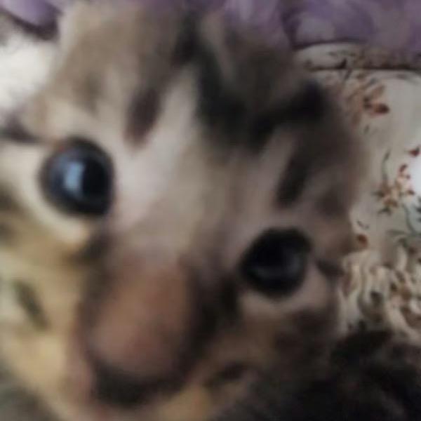 抖音用户082711167990