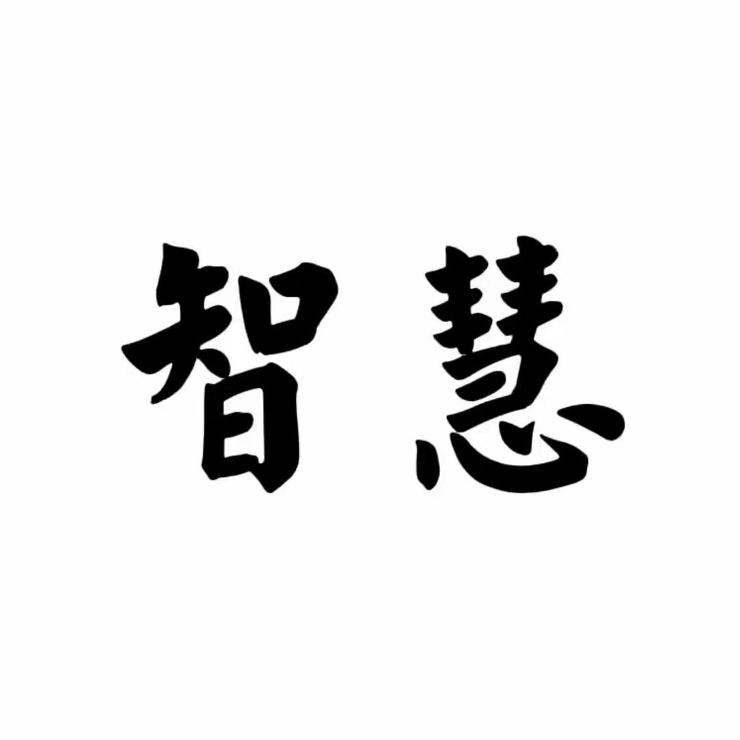 智慧一生