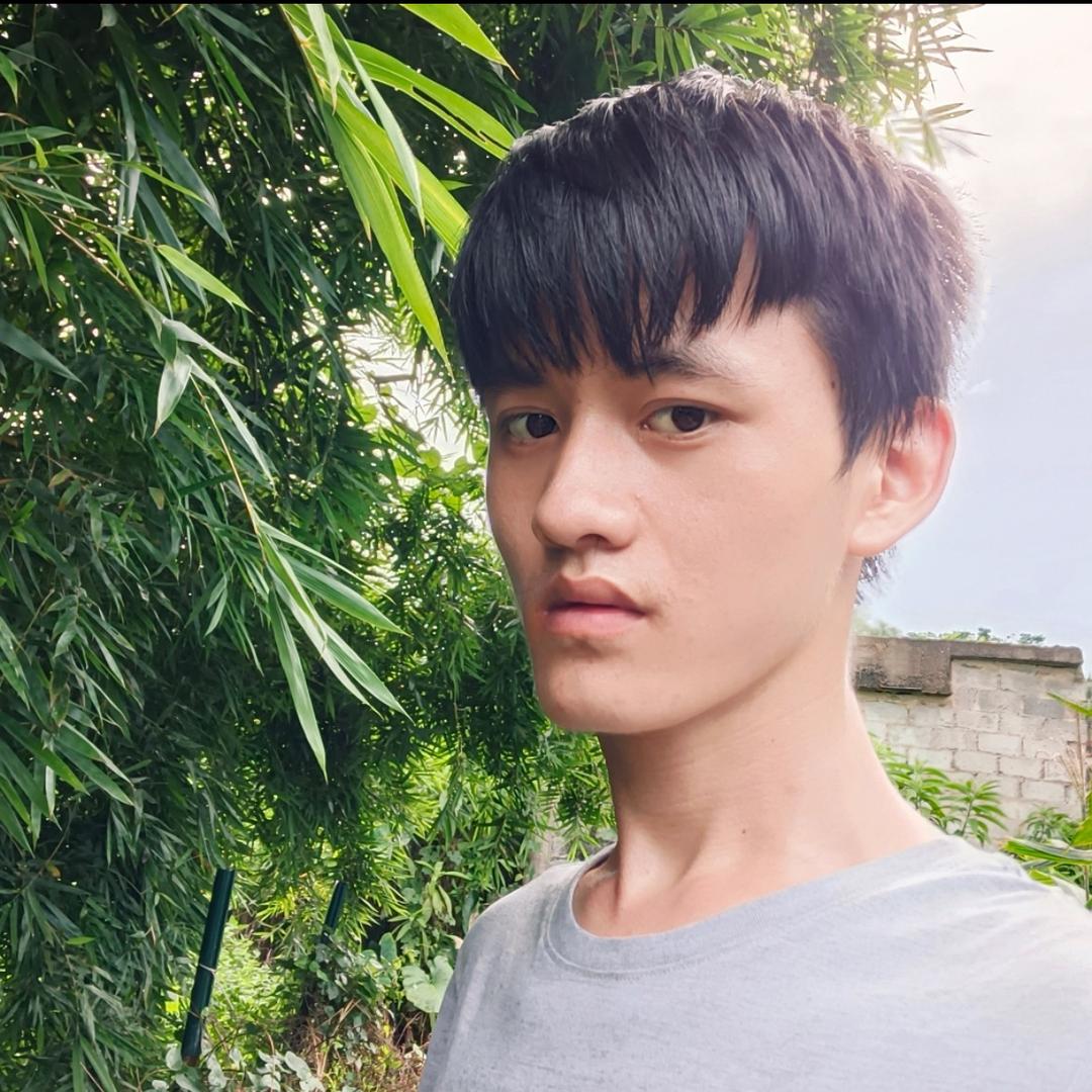 少安阳