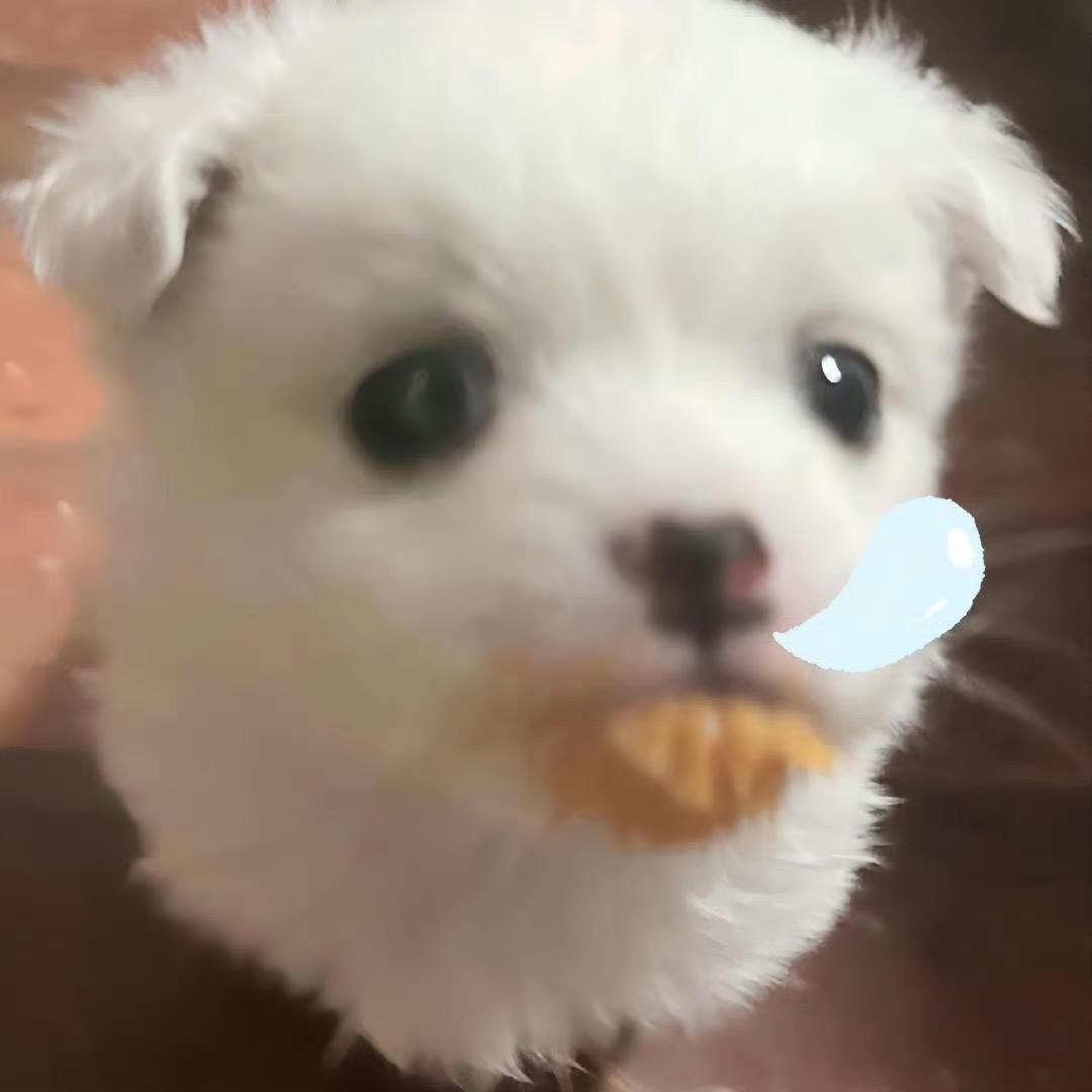 美乐蒂