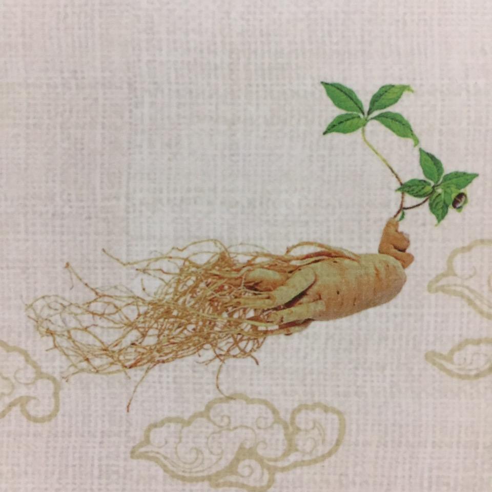 中医百草