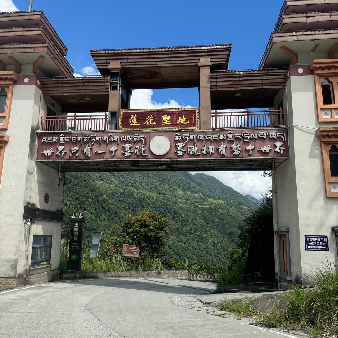 天若有情天亦老