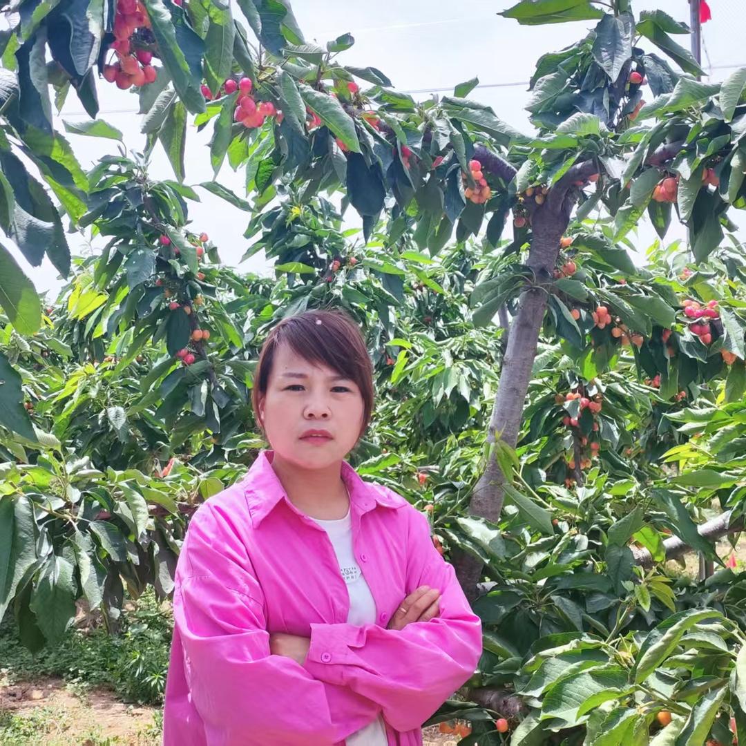 佛系小姐姐