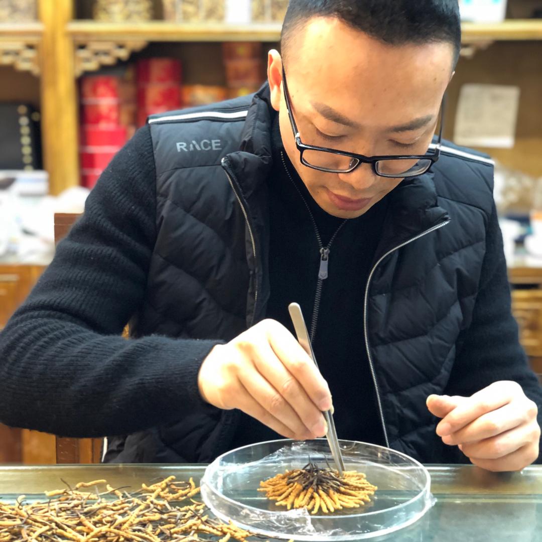 顺尧虫草行