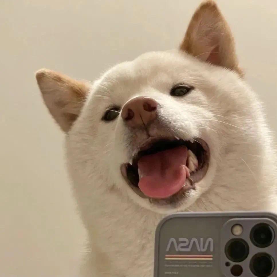 拾玖