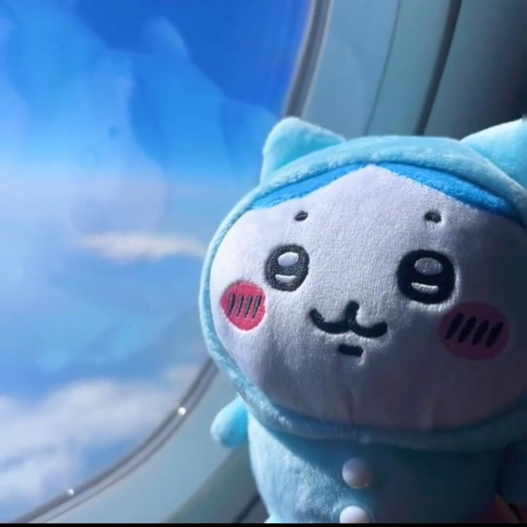 喜欢吃昊天的第21根海胆