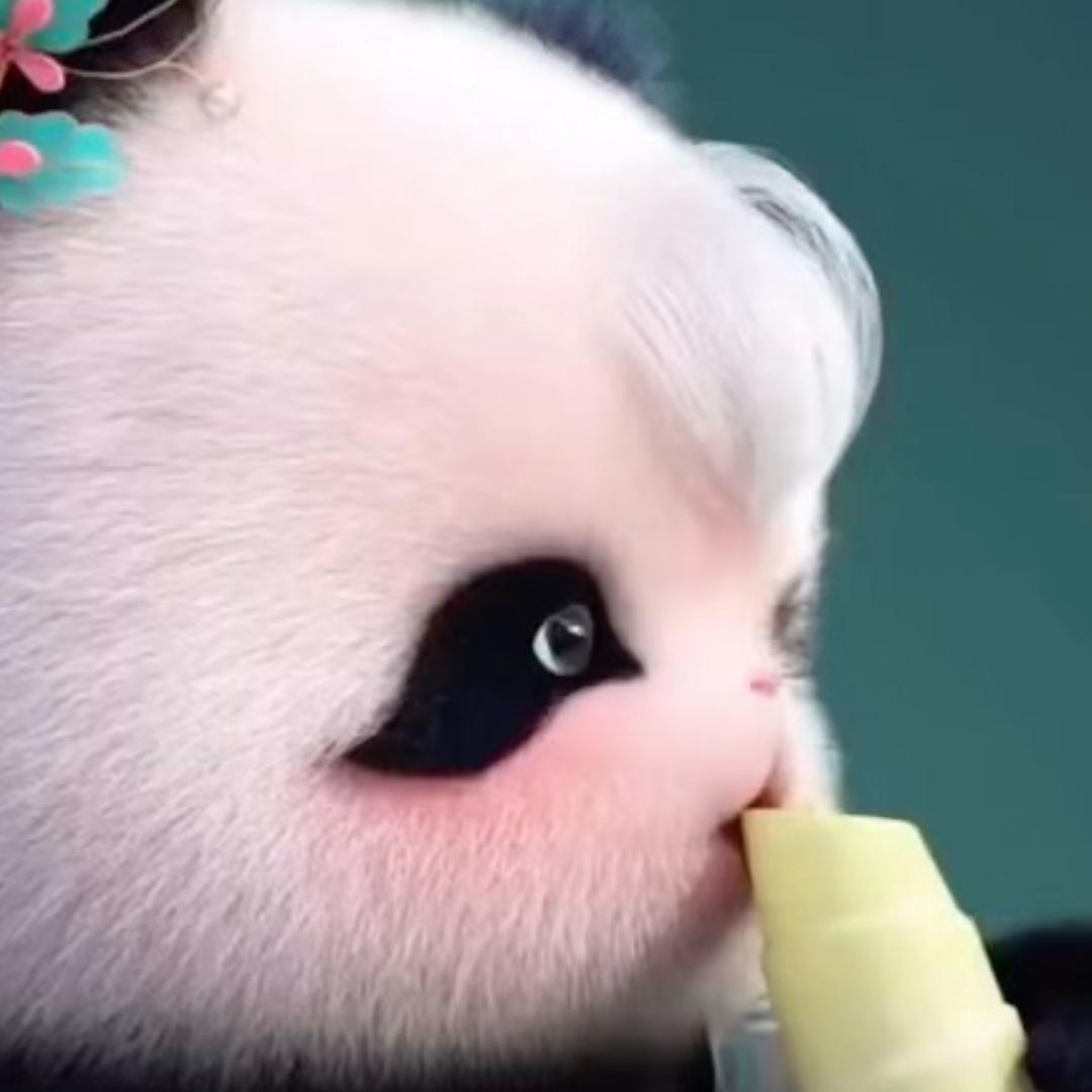 姐姐