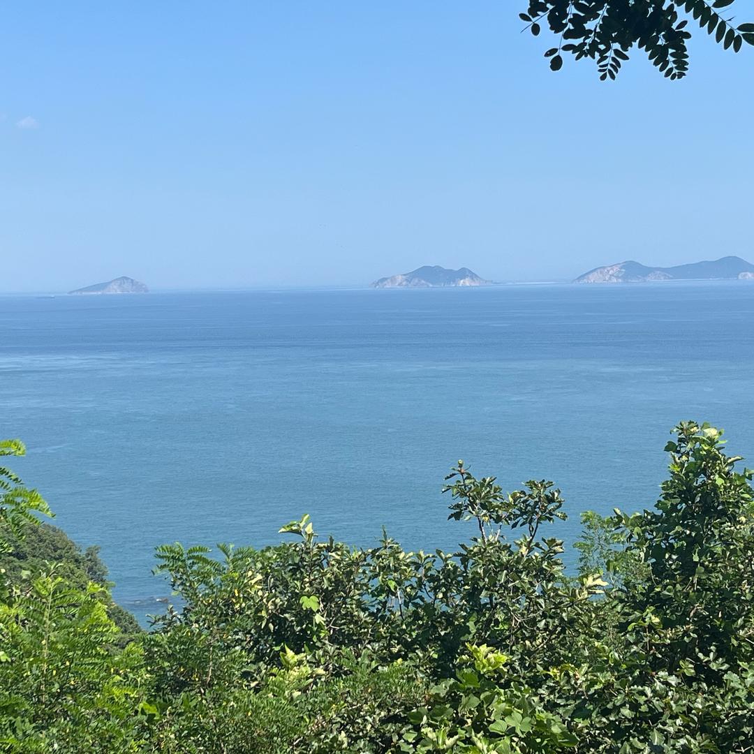 泽锦
