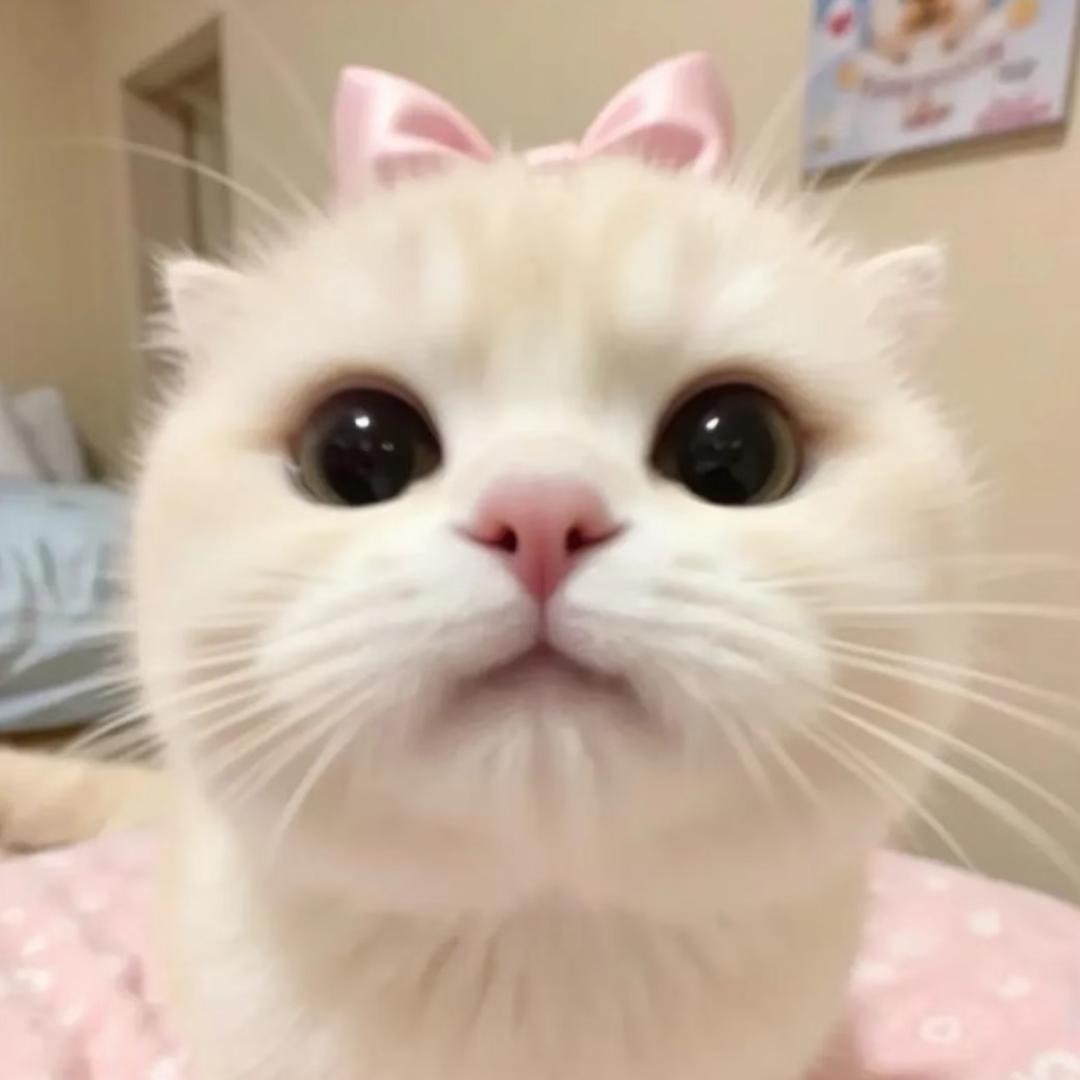 小艾大小姐
