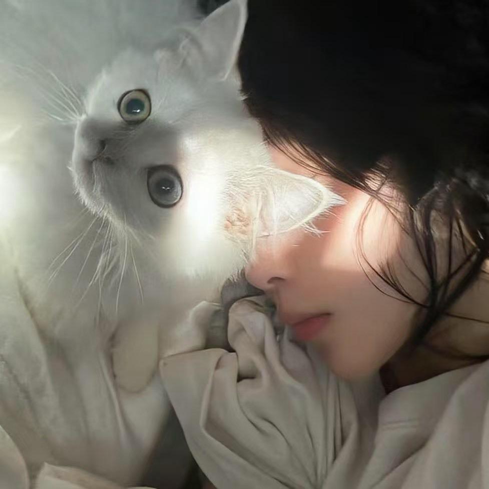 ꕥ᭄如梦✾亦如幻࿐