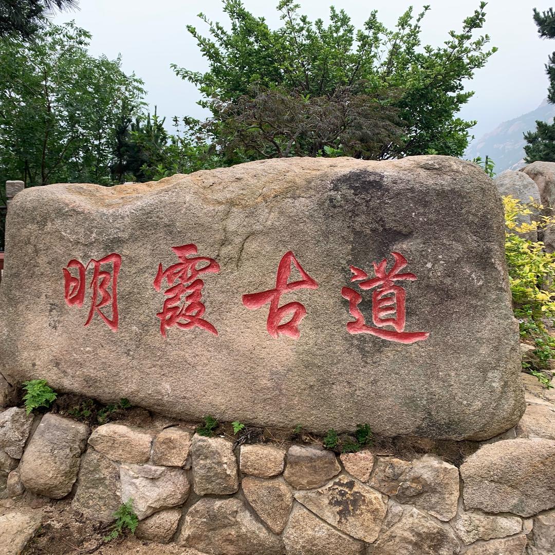 以往