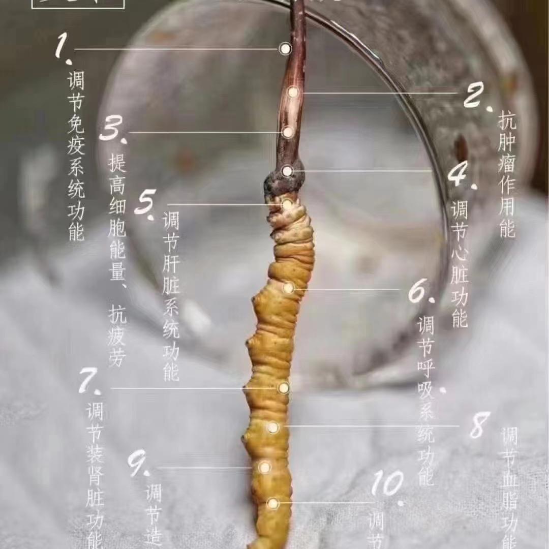 桦润商行