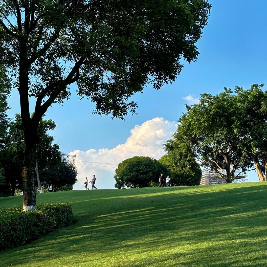 汉中何姐休&发动机