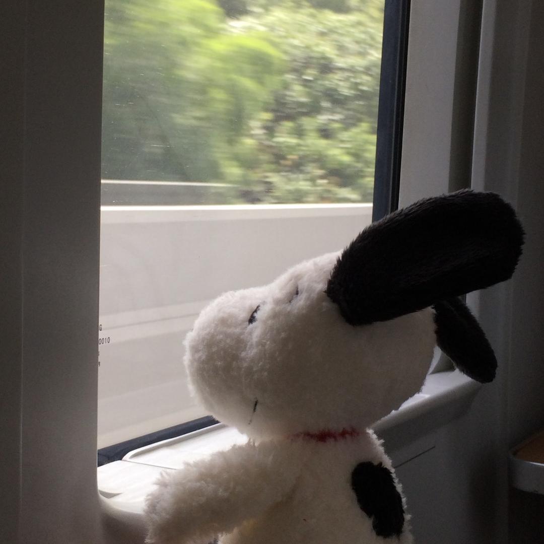 小免